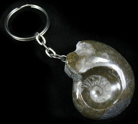 Fossil Goniatite Keychain #26140